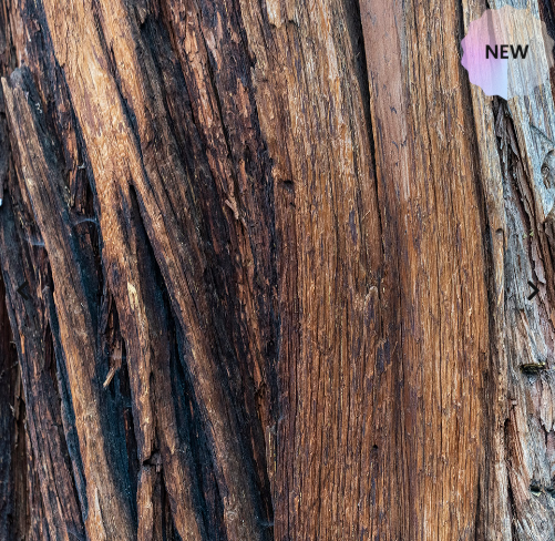 Nuovo Profumo Uomo Olfazeta Dark Nectar  ispirato a Bottled Absolu di Hugo Boss- Cod. 147M